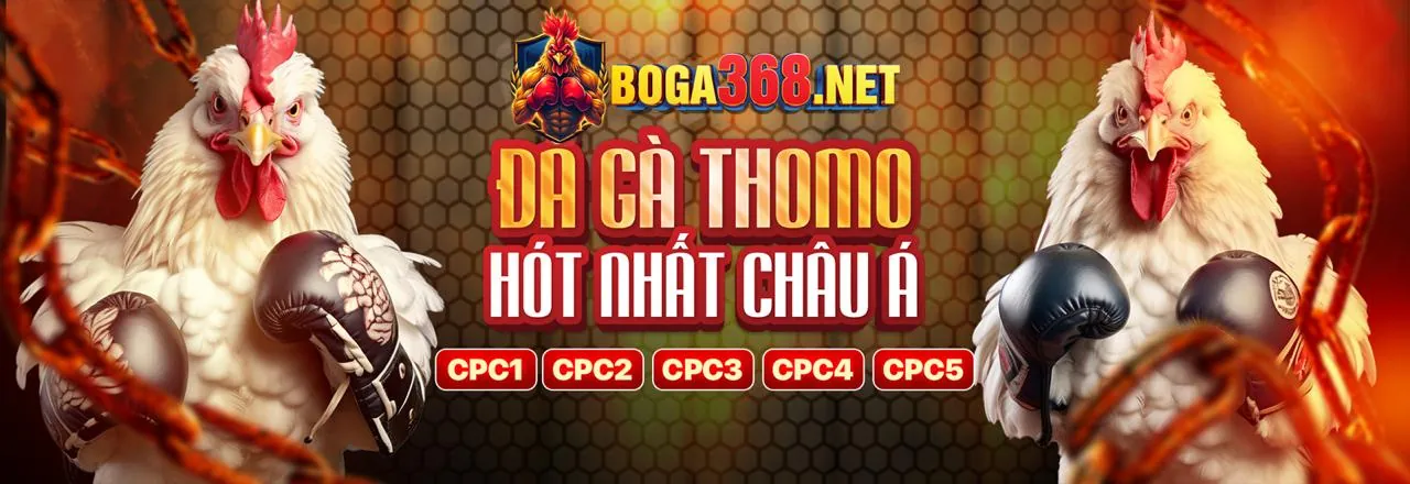 Cá cược thể thao vin55