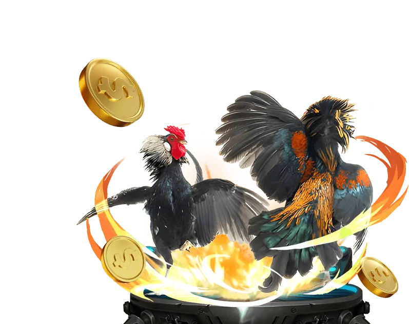 Giao dịch nhanh chóng vin55